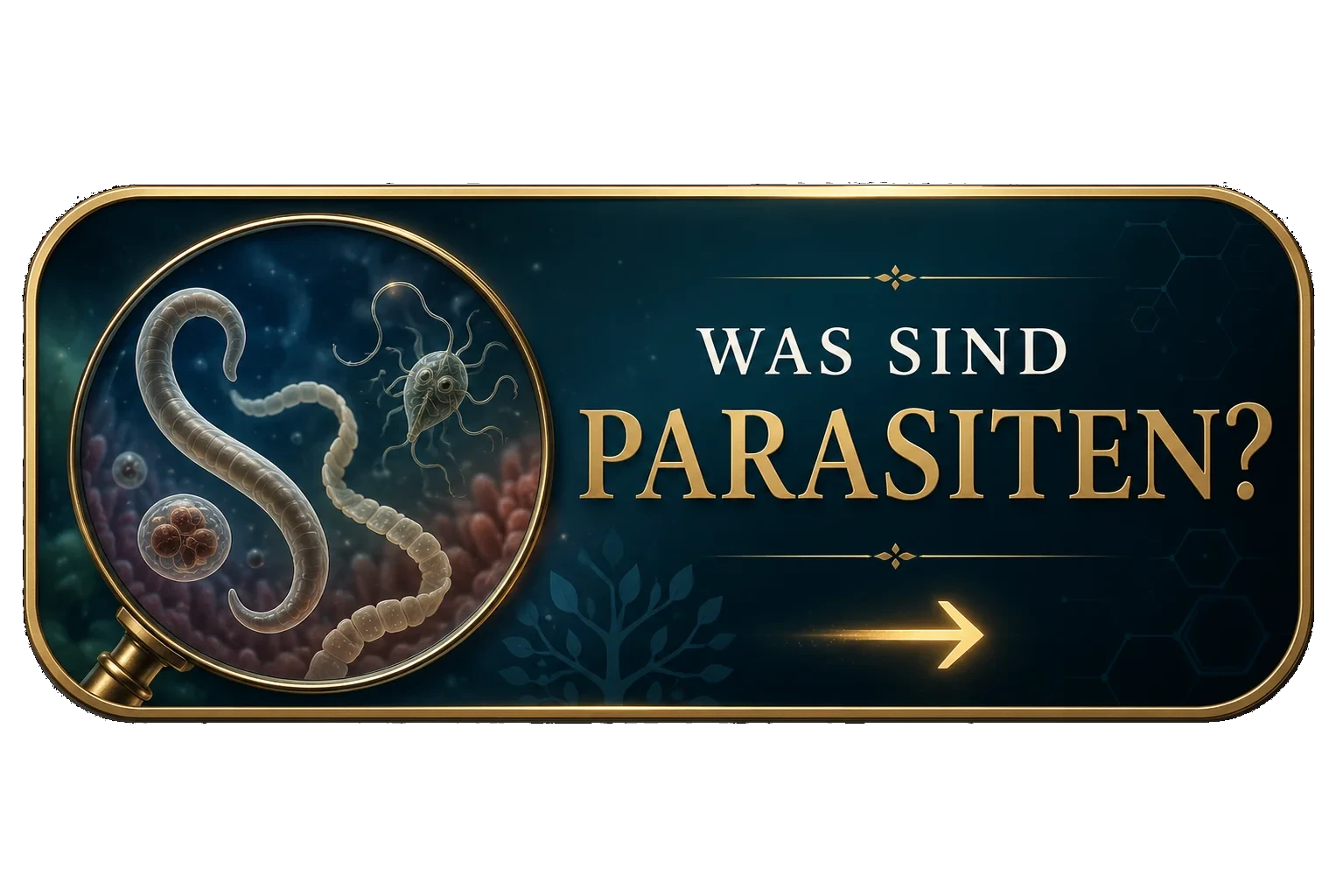 Was sind Parasiten?