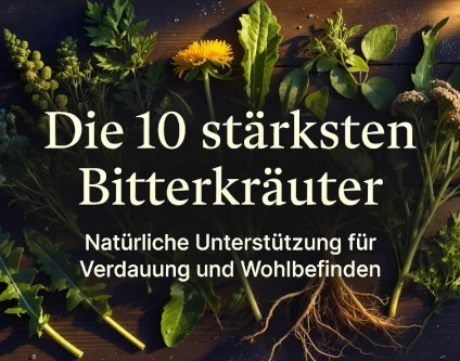 Die 10 stärksten Bitterkräuter